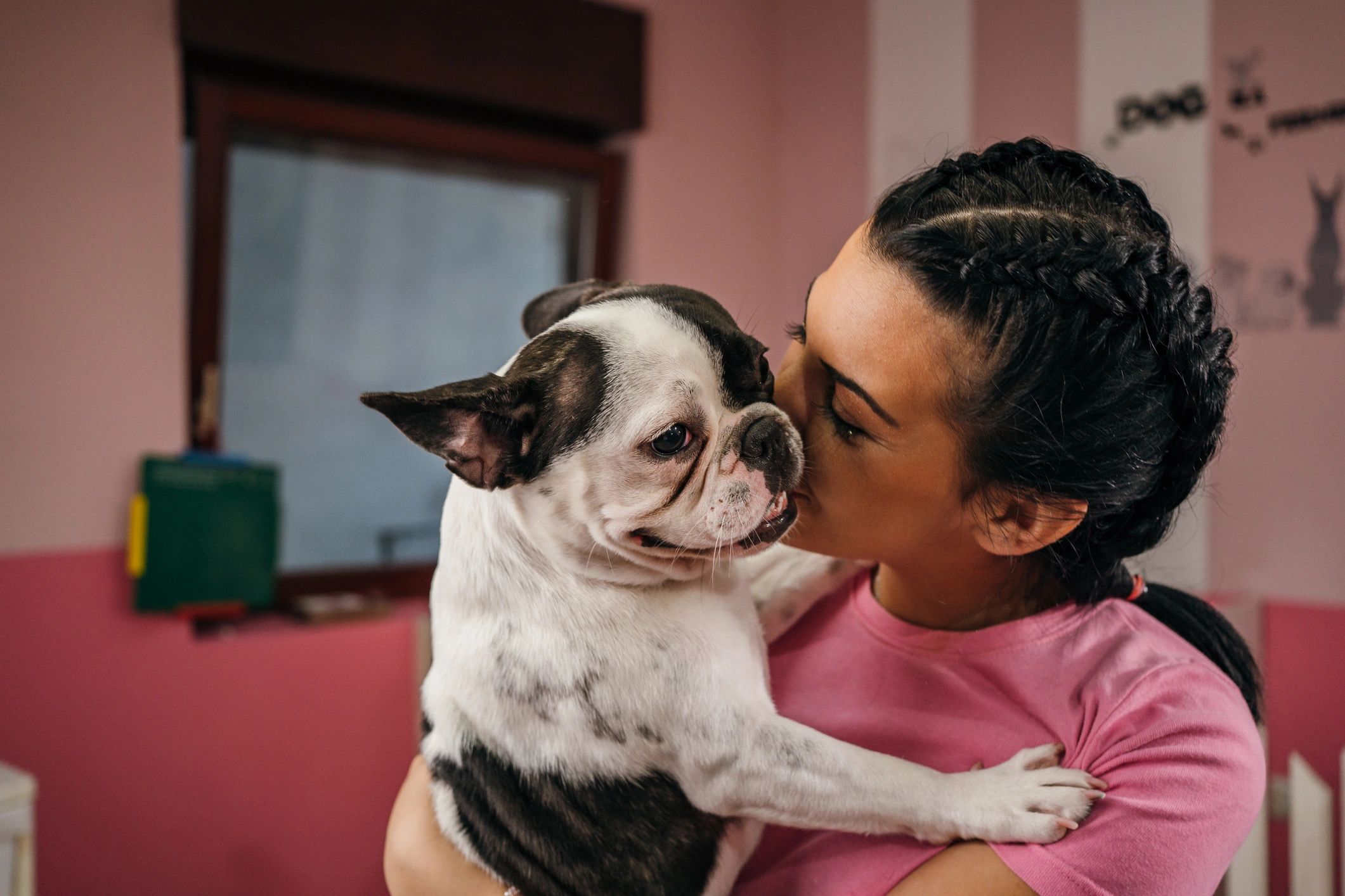 Woman cuddling a French bulldog after grooming