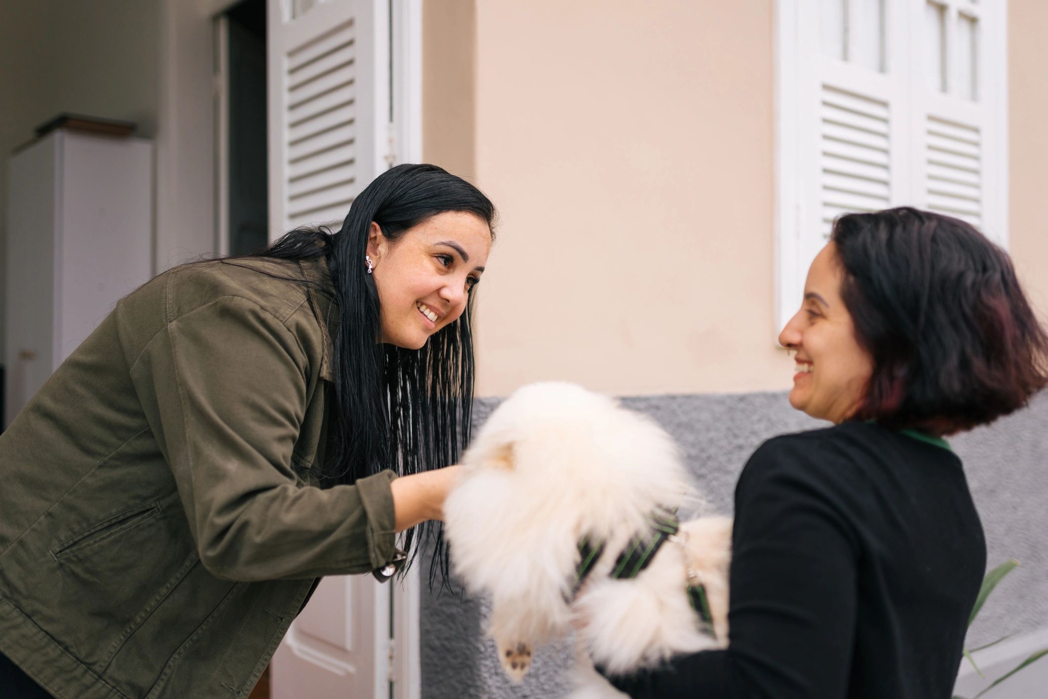 Pet owner handing off a fluffy white dog for grooming care