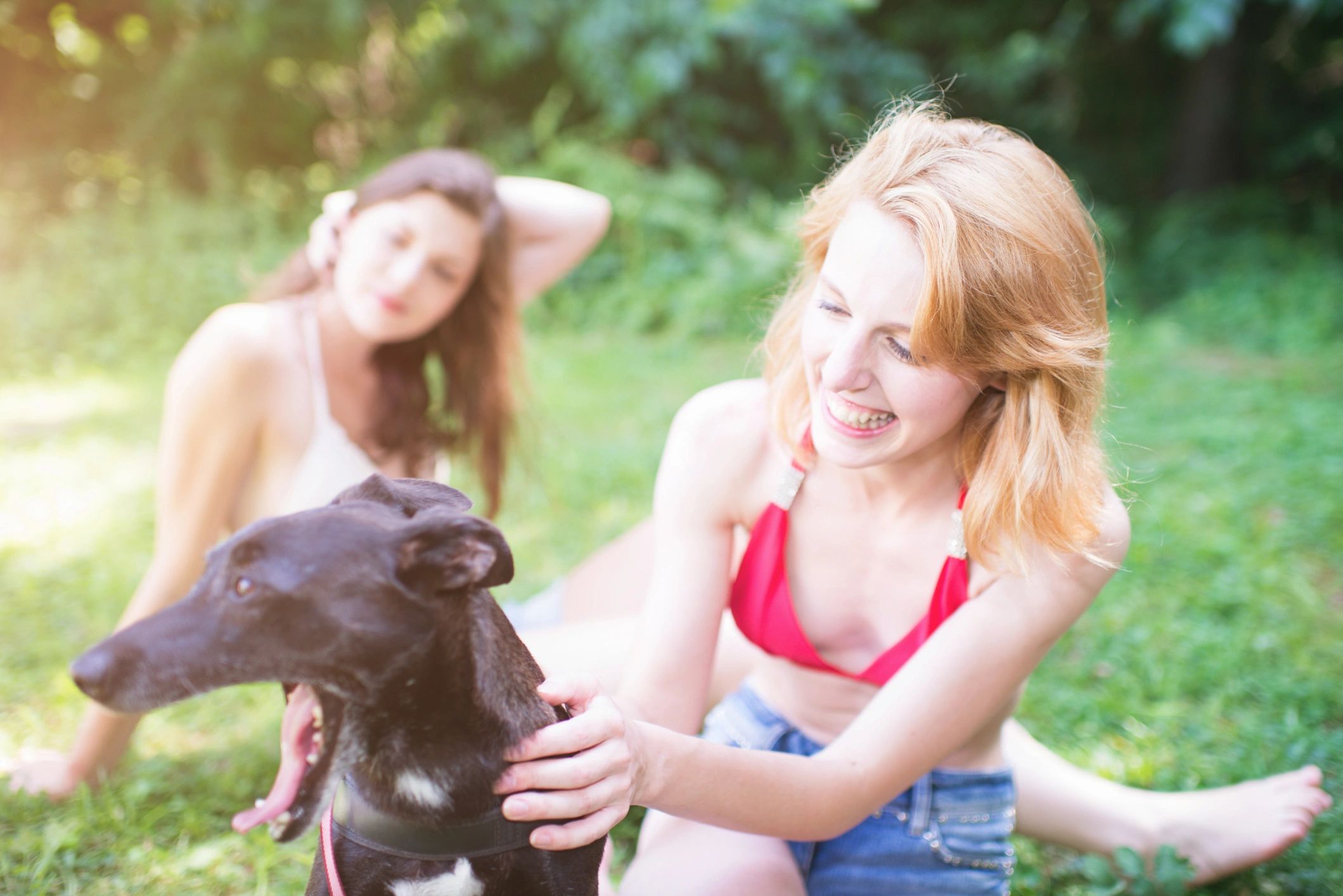 Happy pet owner outdoors with dog